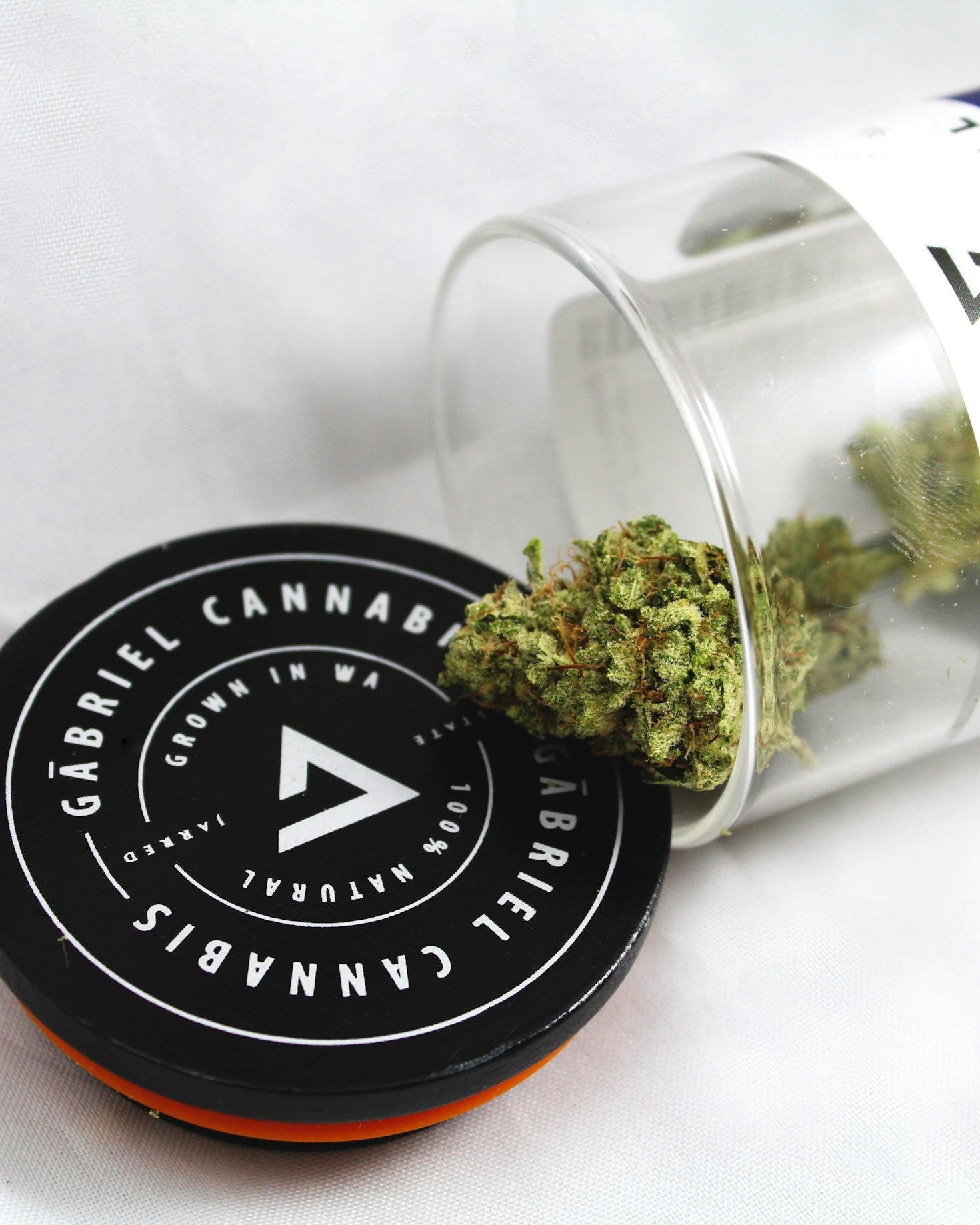 Blending Education and Indulgence in Cannabis Culture